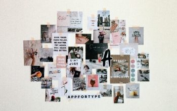 https://unsplash.com/photos/t-WkBEOQngs